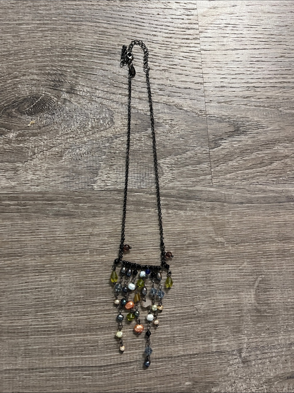 Lia Sophia Black Chain Multicolor Beaded Fringe Necklace